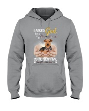 God send me a Airedale Terrier gift for you Hooded Sweatshirt tile