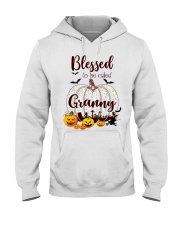 Blessed To Be Called Granny H Hooded Sweatshirt tile