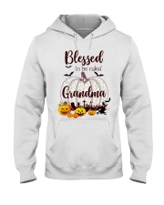 Blessed To Be Called Grandma H Hooded Sweatshirt tile