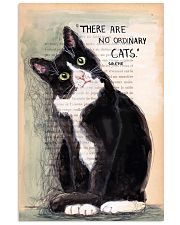 There are no ordinary cats 11x17 Poster front