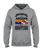 Arizona Hooded Sweatshirt thumbnail