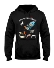 ANTI DEPRESSANTS FUNNY HORSE Hooded Sweatshirt front