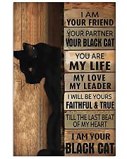 BLACK CAT poster 11x17 Poster front