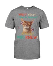 Wait What Premium Fit Mens Tee tile