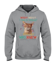 Wait What Hooded Sweatshirt tile