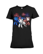 Turtle America 3 Premium Fit Ladies Tee tile