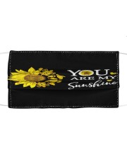 Turtle 1009 Cloth face mask front