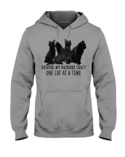 Driving my husband crazy Hooded Sweatshirt tile