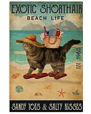 Exotic shorthair 11x17 Poster front