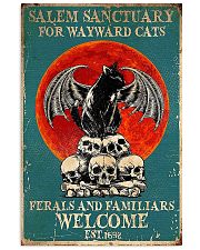 Cat welcome 11x17 Poster front