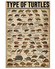 TYPE OF TURTLE 11x17 Poster front