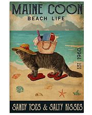 Maine Coon 11x17 Poster front