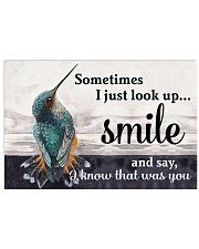 Hummingbird I Know That Was You 17x11 Poster front