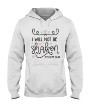 PSALMS 16:8 Hooded Sweatshirt tile