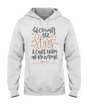 PSALMS 147:4 Hooded Sweatshirt tile