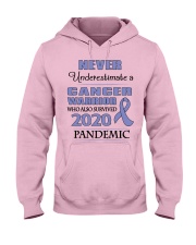 all-cancer-lavender-npan Hooded Sweatshirt thumbnail