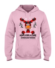 carcinoid-cancer-zebra-stripes-hfac Hooded Sweatshirt thumbnail