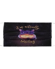 I'm Actually Smiling Face Mask - Cat Carrying Halloween Pumpkin Cloth face mask front