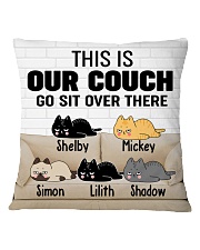 172296 Cat this is our couch go sit over Square Pillowcase front