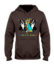 171360 Dog It's ok to be different dog hoodie Hooded Sweatshirt front