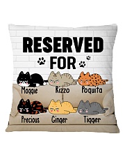HZ182028 Square Pillowcase front