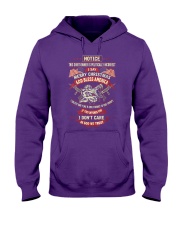 this shirt owner is politically 1 Hooded Sweatshirt thumbnail