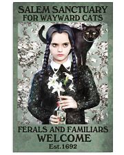 Salem Sanctuary for Wayward Cats Wall Art 11x17 Poster front