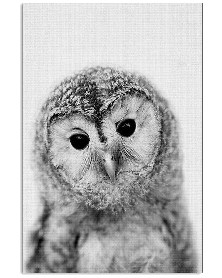 OWL POSTER 11x17 Poster