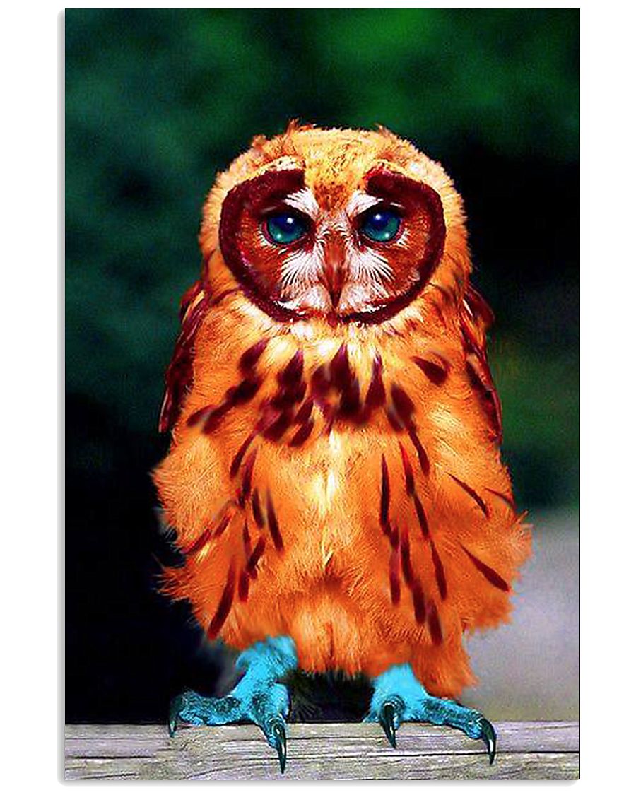 OWL POSTER 11x17 Poster
