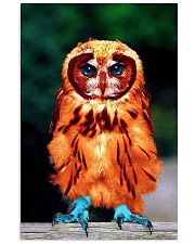 OWL POSTER 11x17 Poster front
