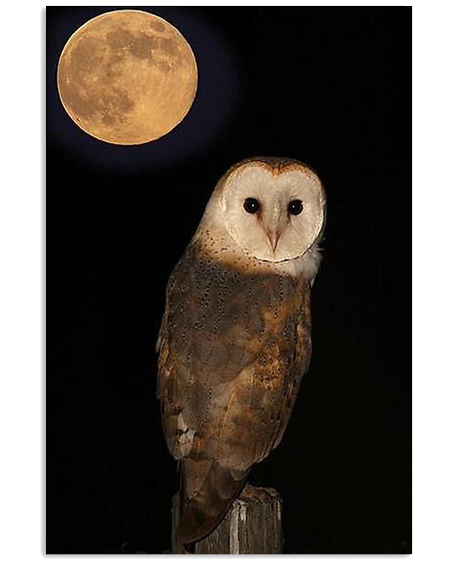OWL POSTER 11x17 Poster