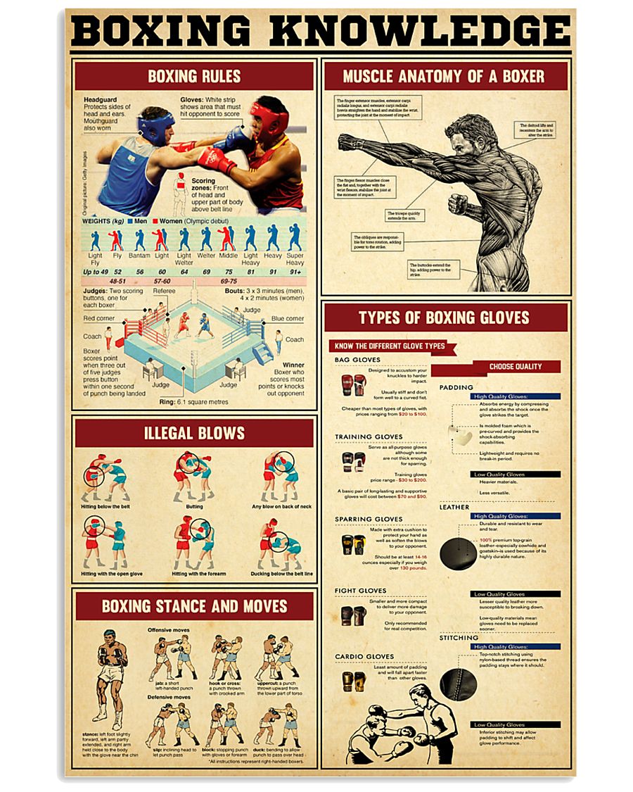 Boxing Knowledge 2 24x36 Poster