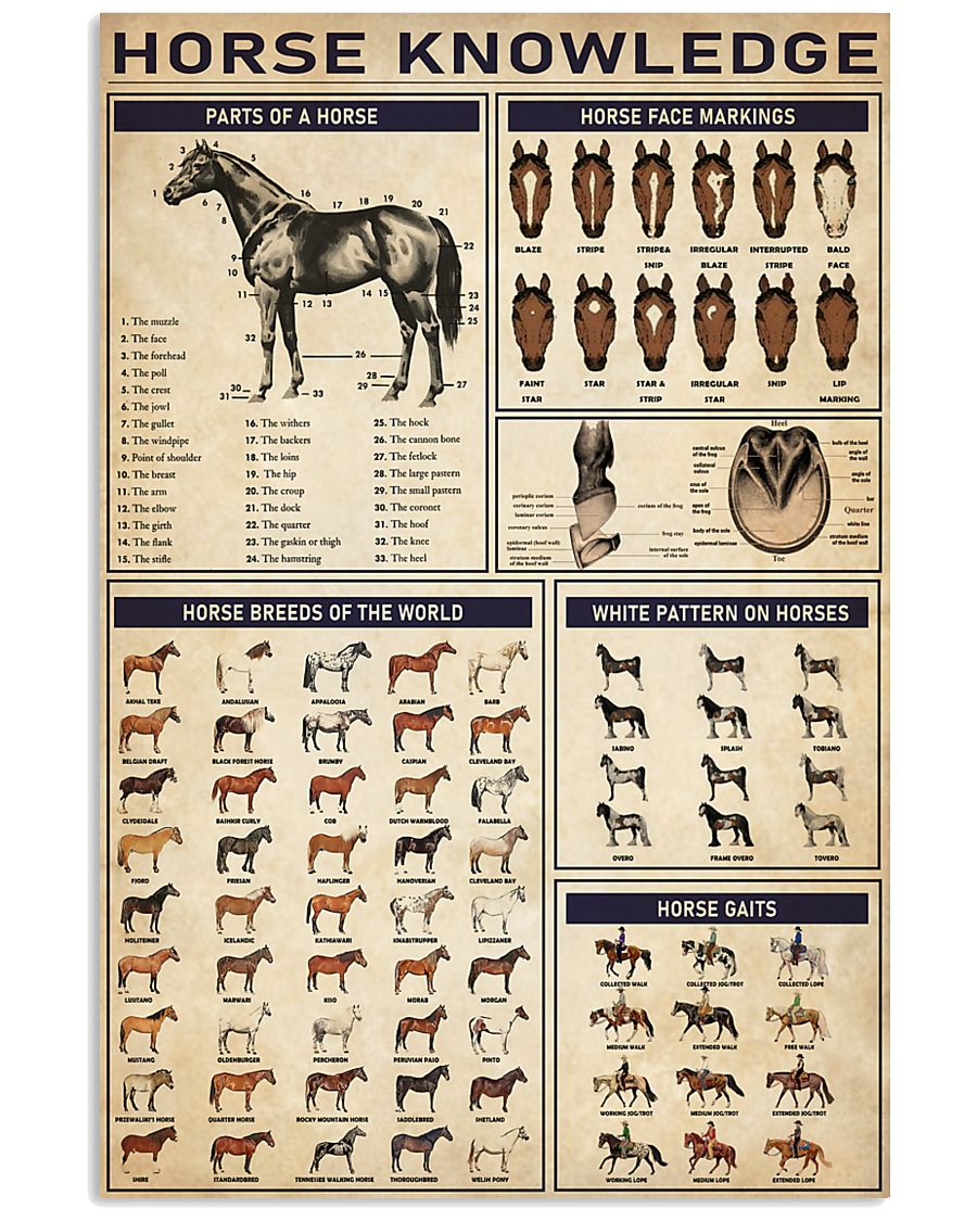 Horse Knowledge 11x17 Poster