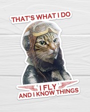 Cat Fly And Know Things Sticker - Single (Vertical) aos-sticker-single-vertical-lifestyle-front-01