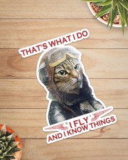 Cat Fly And Know Things Sticker - Single (Vertical) aos-sticker-single-vertical-lifestyle-front-07