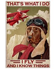 Dog Fly And Know Things 24x36 Poster front