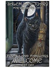 Cat Salem Sanctuary 2 24x36 Poster front