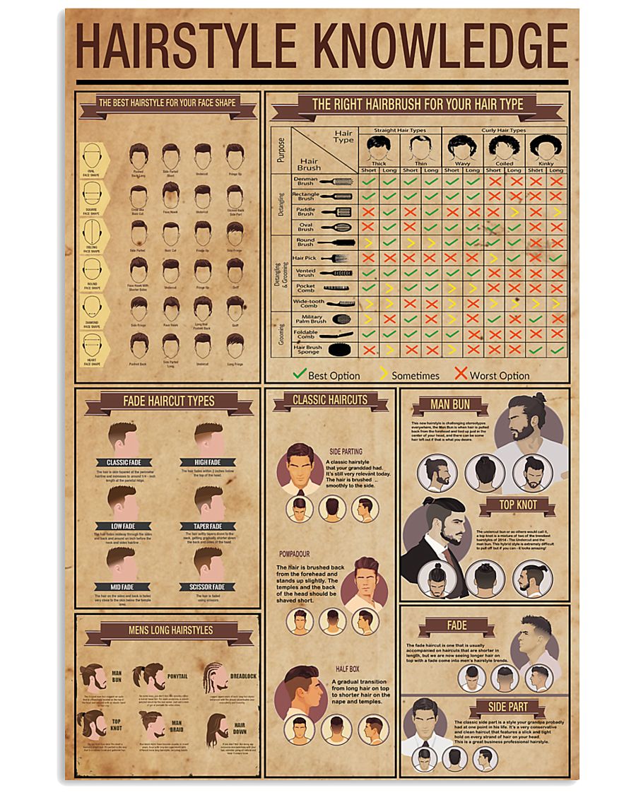 Hairstyle Knowledge 24x36 Poster