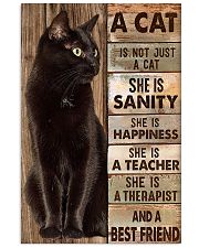 A Cat Is Not Just A Cat 24x36 Poster front