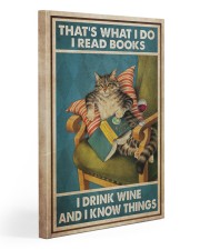 Cat Read Books Drink Cocktail 20x30 Gallery Wrapped Canvas Prints thumbnail
