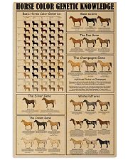 Horse Color Genetic Knowledge 11x17 Poster front