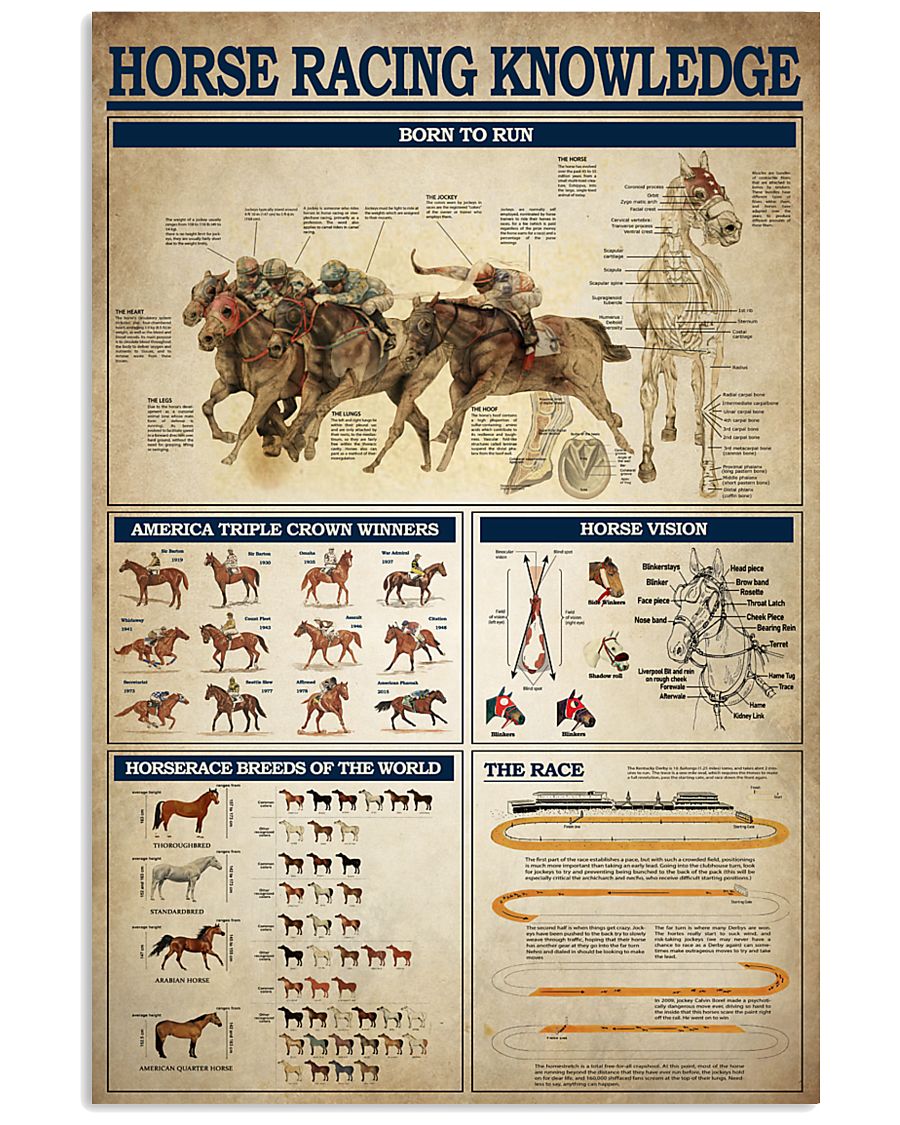 Horse Racing Knowledge 2 11x17 Poster