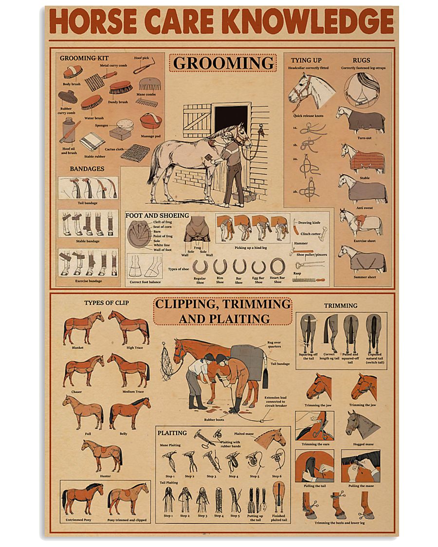 Horse Care Knowledge 11x17 Poster