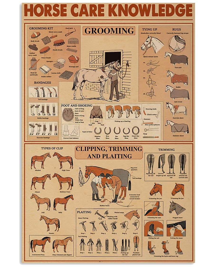 Horse Care Knowledge 24x36 Poster