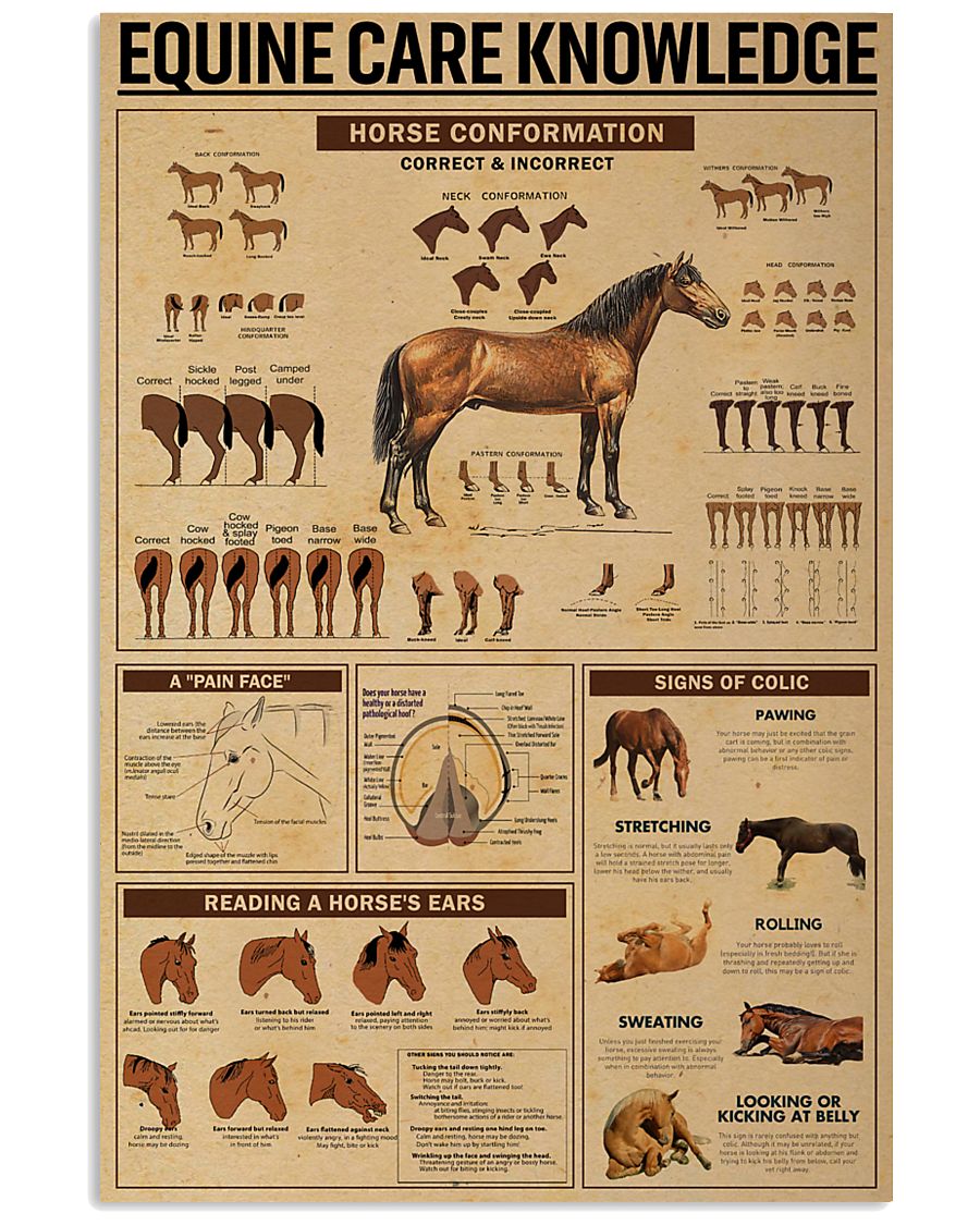 Equine Care Knowledge 24x36 Poster