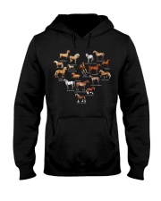 Horse Breeds Hooded Sweatshirt tile