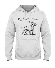 My Best Friend Is A Bull Terrier Hooded Sweatshirt front
