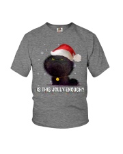 CAT IS THIS JOLLY ENOUGH FLUFFY CAT Youth T-Shirt tile
