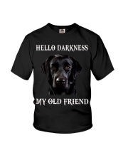 Labrador Hello Darkness My Old Friend Youth T-Shirt tile