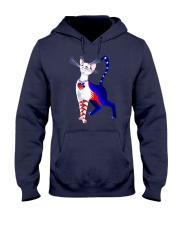 Cat Flag America Hooded Sweatshirt thumbnail